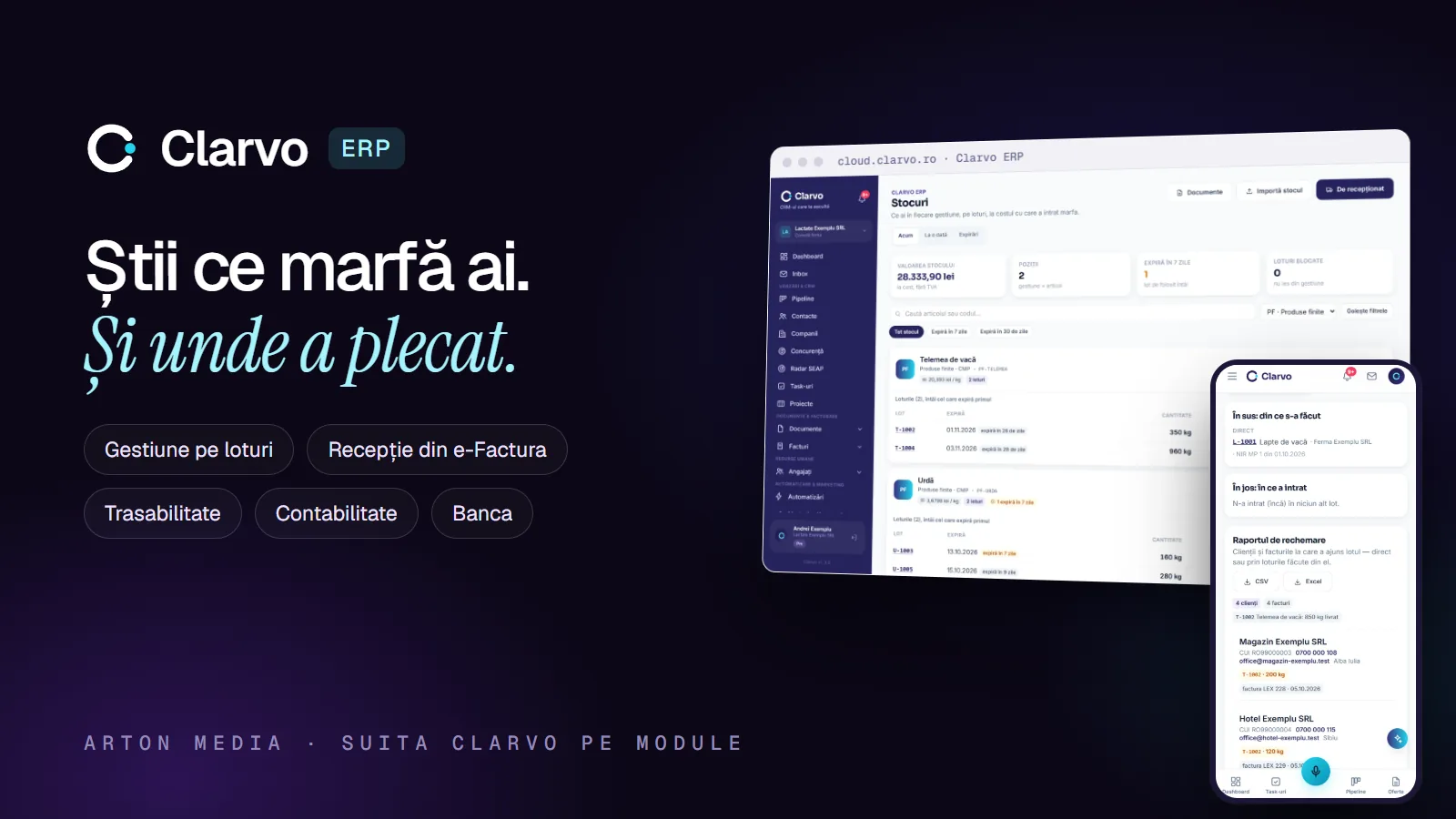 Clarvo ERP: gestiune pe loturi și contabilitate din documente, în suita Clarvo pe module