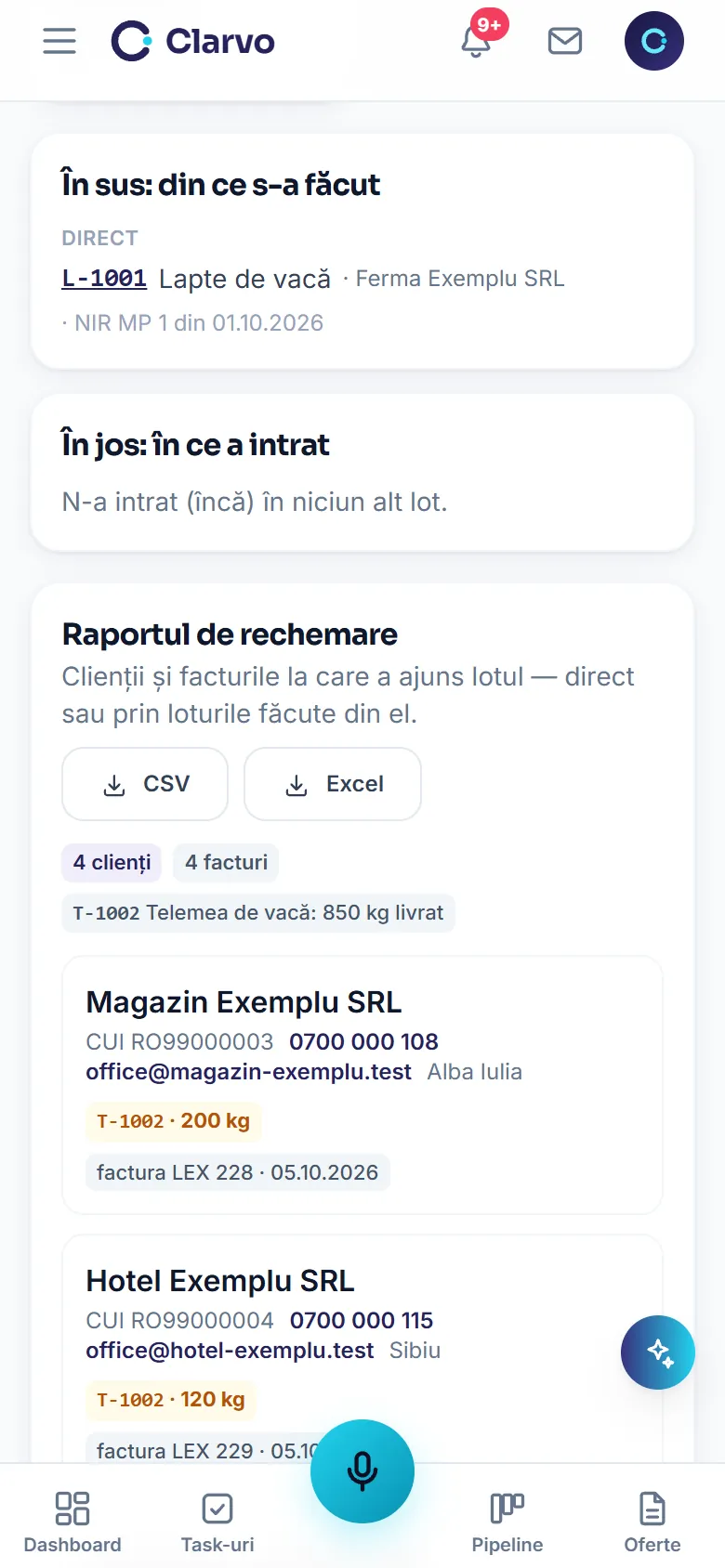 Clarvo ERP pe telefon — fișa lotului