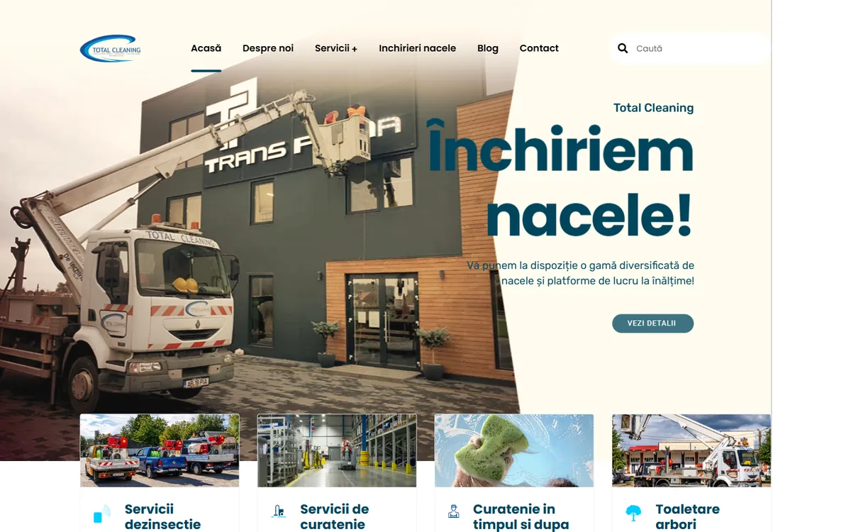 Total Cleaning — captură a site-ului